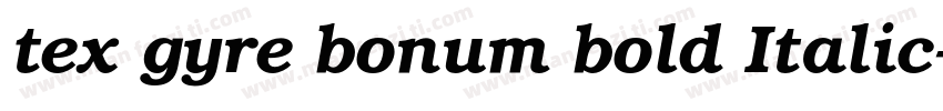 tex gyre bonum bold Italic字体转换